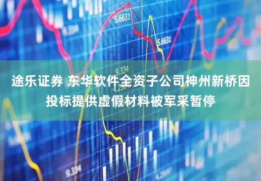 途乐证券 东华软件全资子公司神州新桥因投标提供虚假材料被军采暂停